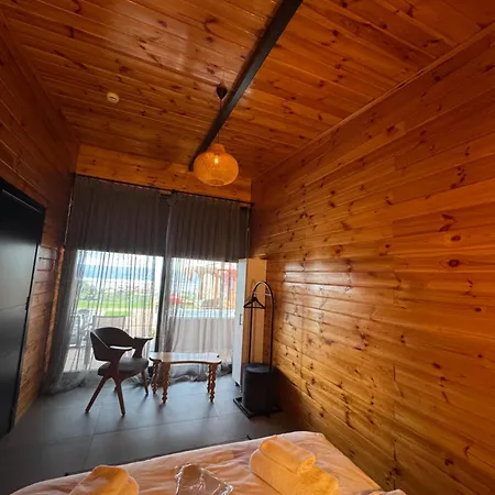 Palmera * ספנג'ה