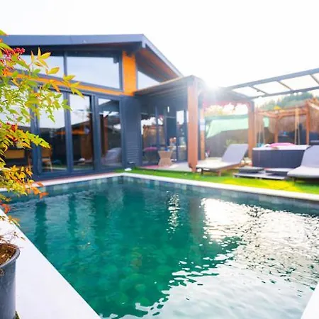 Palmera * ספנג'ה