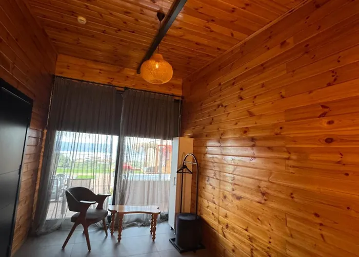 Palmera * ספנג'ה